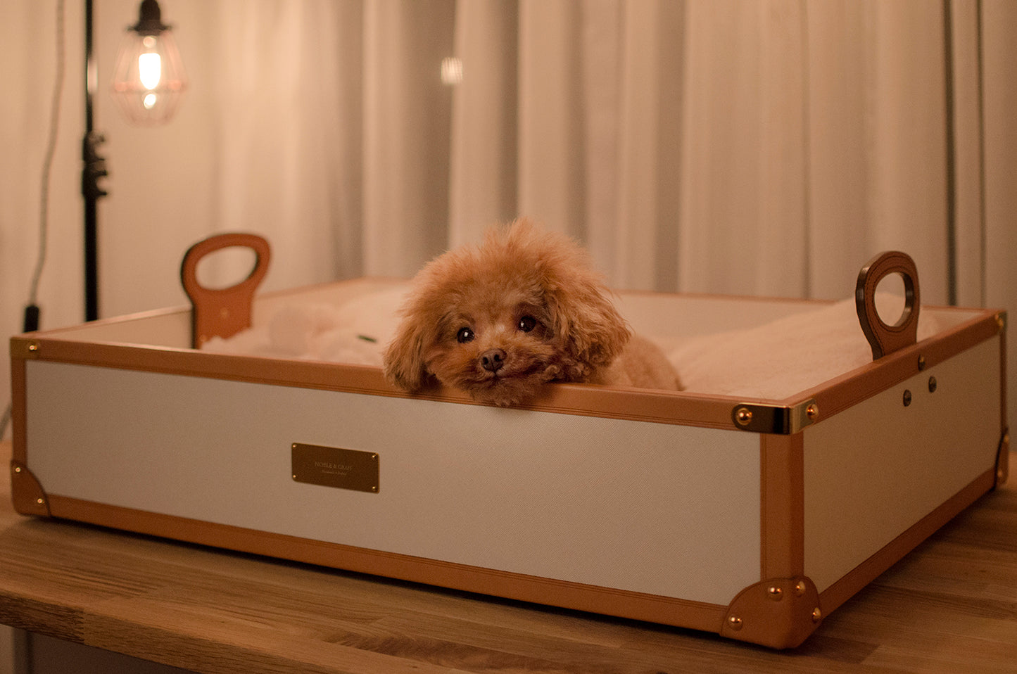 Puppy Bed